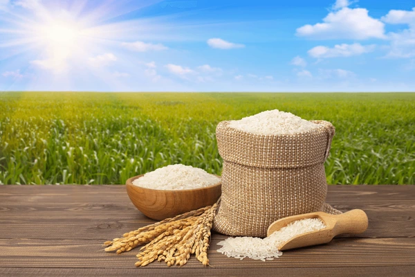 Sack of rice with field background